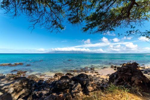 Kaanapali Shores 461