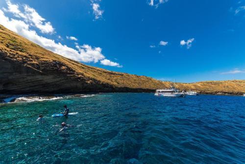 Kaanapali Shores 461