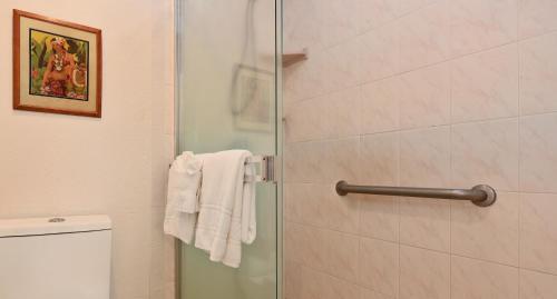 Apartamento Napili Point B5 Condo