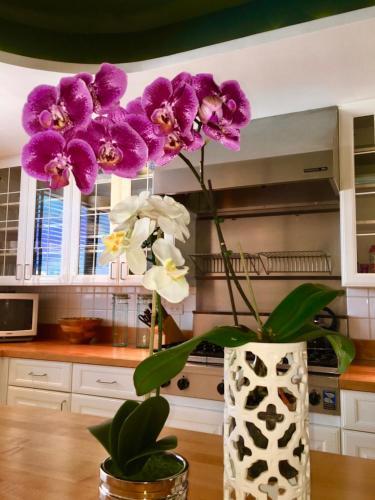 Apartamento Penthouse 701 Condo