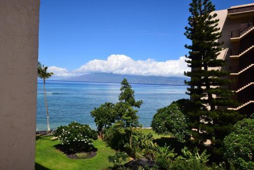 Royal Kahana 405