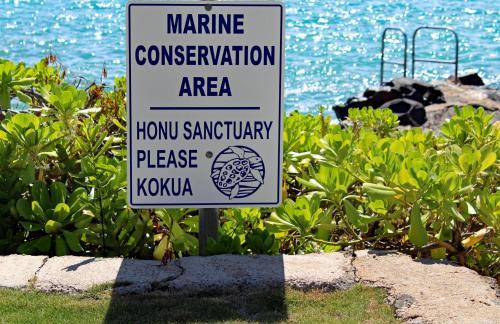 Kuleana Resort 415