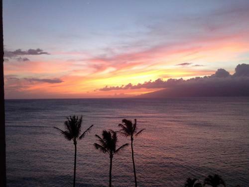 Royal Kahana 706