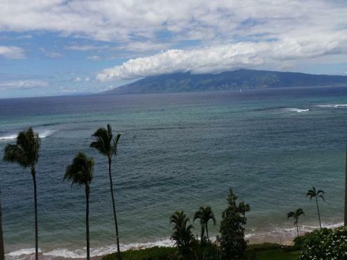 Royal Kahana 706