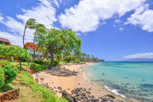 Apartamento Kuleana 622 1bdrm Condo