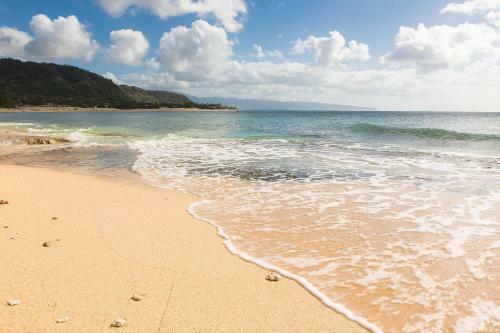 North Shore Resort Condo