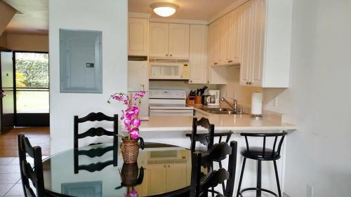 Apartamento Haupia Condo
