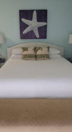 Bed & Breakfast Paradise Palms B & B