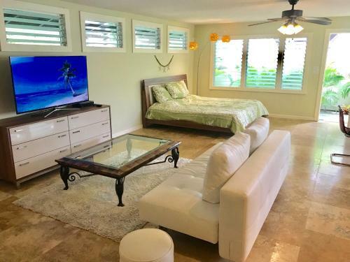 Brand New Kailua Beach