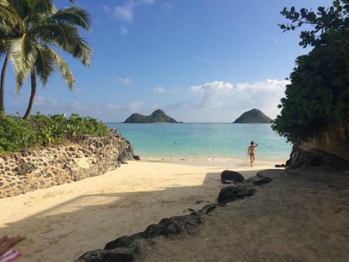 Tropical Getaway