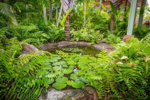 Tropical Getaway