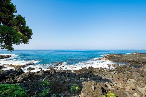 Villa Royal Sea Cliff 109
