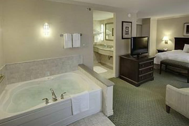 Hotel Hampton Inn Buffalo-williamsville