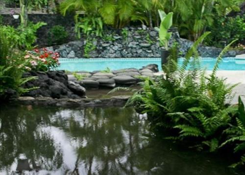Villa Mahuahua Place