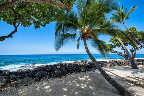 Kona Isle A4