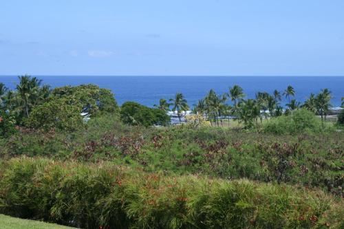 Na Hale O Keauhou