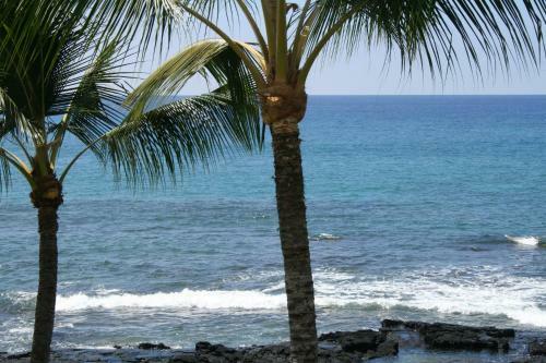 Apartamento Kona Bali Kai 317