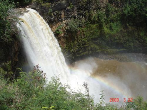 Apartamentos Islander On The Beach Unit 256