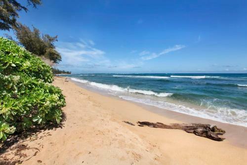 Apartamento Islander On The Beach 352 Condo
