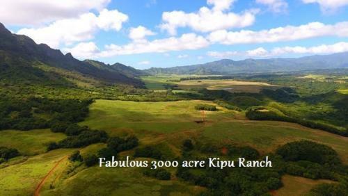 Apartamento Kapa'a Sands #10 Direct Oceanfront Studio Kauai