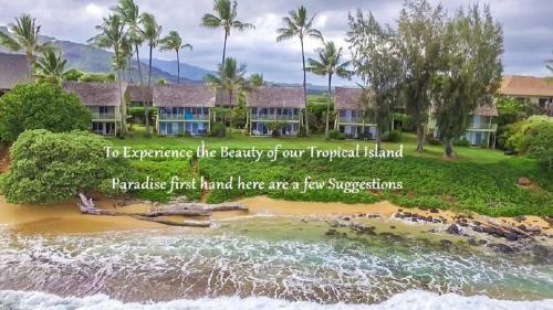 Apartamento Kapa'a Sands #10 Direct Oceanfront Studio Kauai