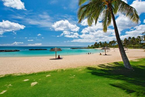 Coconut Plantation 1086-1