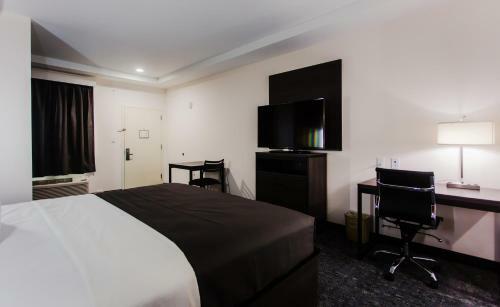 Hotel Palacio Royale Inn Boutique