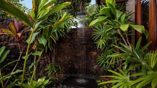 Pu'u Kole Estate #106