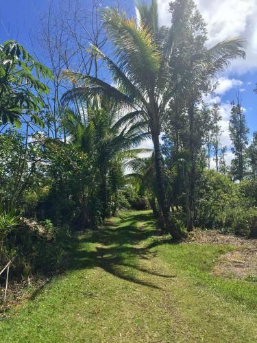 House Of Honu (turtles), Hawai'i