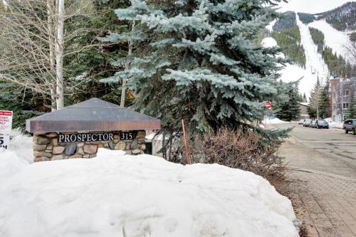 Skiway Condo