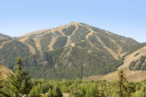 Sun Valley Condo 155