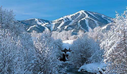 Sun Valley Condo 155
