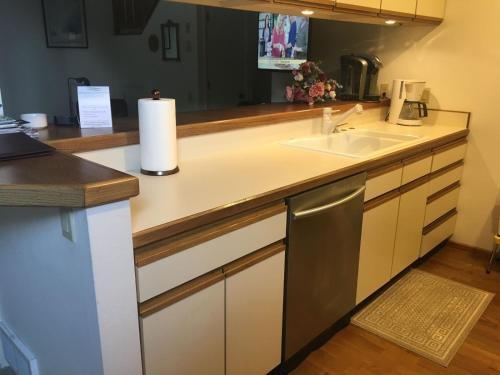 Sun Valley Condo 120