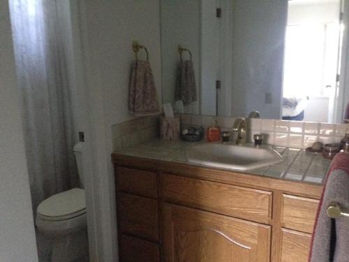 Sun Valley Condo 120