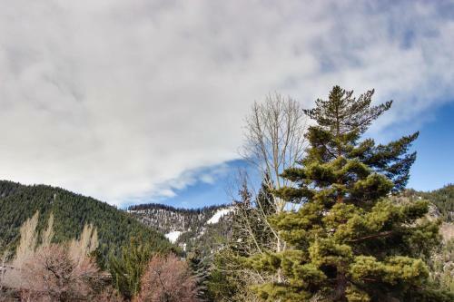 Ketchum Treehouse
