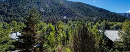 Ketchum Treehouse