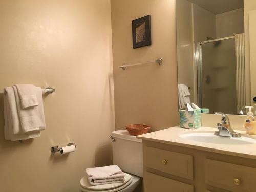 Sun Valley Condo 153