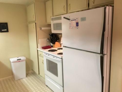 Sun Valley Condo 153