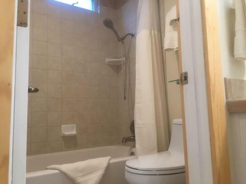 Sun Valley Condo 131