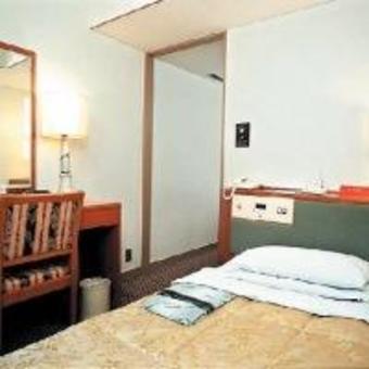 Hotel International