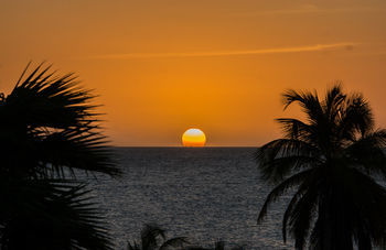 Hotel Lions Dive & Beach Resort Curacao