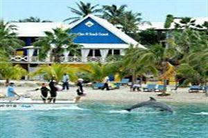 Hotel Lions Dive & Beach Resort Curacao
