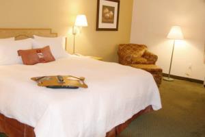 Hotel Hampton Inn Taos