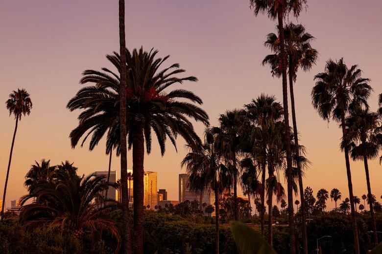Beverly Hills Hotel And Bungalows