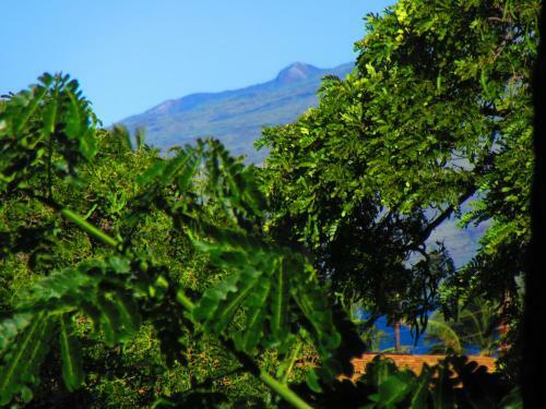 Apartamento Maui-licious By The Beach