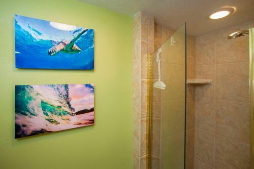 Apartamento Maalaea Surf Resort #c-3 Condo