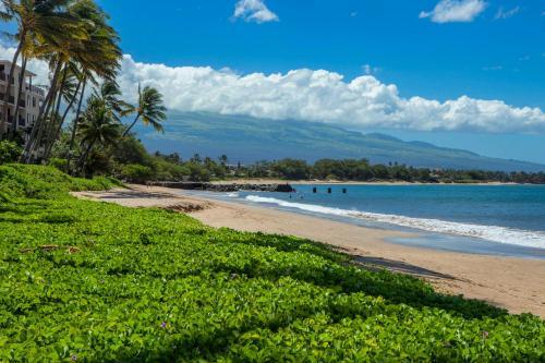 Apartamento Maalaea Surf Resort #c-3 Condo