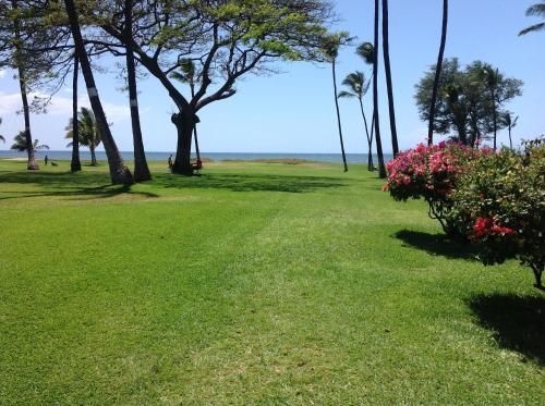 Apartamento Central Kihei Remodeled Beachfront Condo
