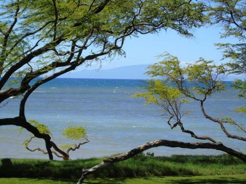 Apartamento Aloha Aku - Ohana 2