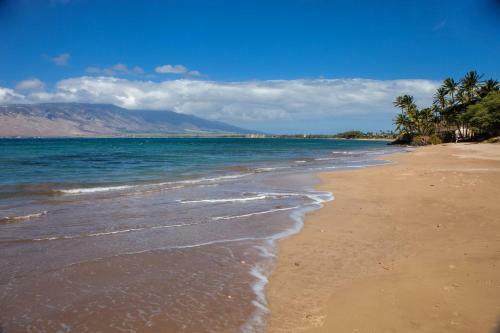 Apartamento Kihei Bay Surf #109 Condo